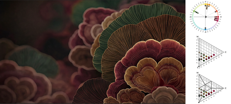 ncs色彩趋势体验